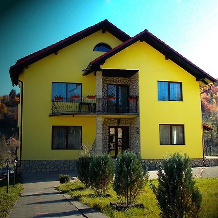 Casa Olteanu Pension Moieciu de Jos Exterior foto